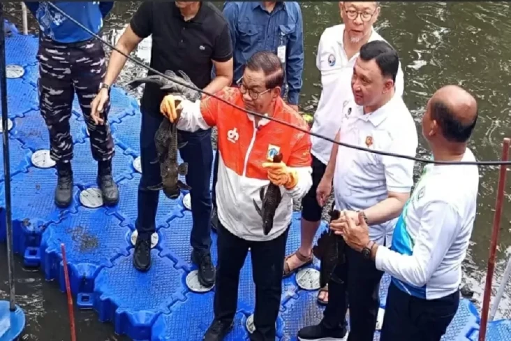 Dulu Dipelihara Kini...