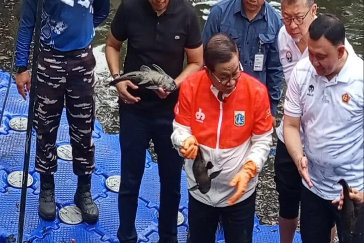 Ikan Sapu-Sapu Jadi...