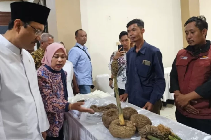 Tingkatkan Pendapatan...