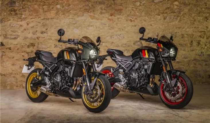 Suzuki GSX-8T dan GSX-8TT...