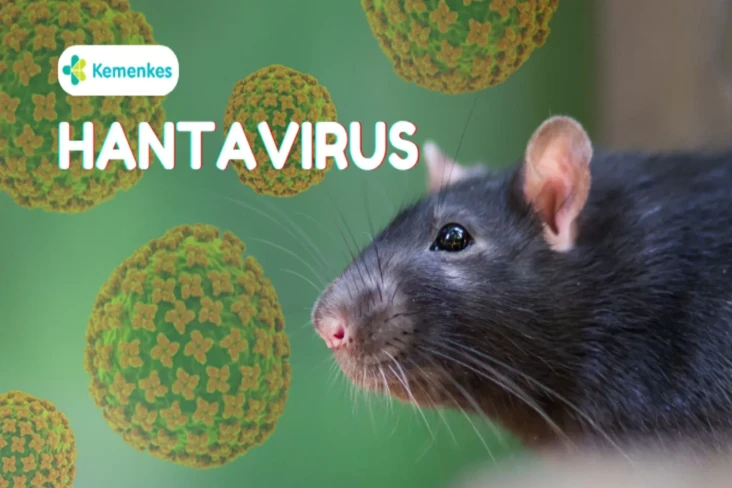 Hantavirus Mengancam,...