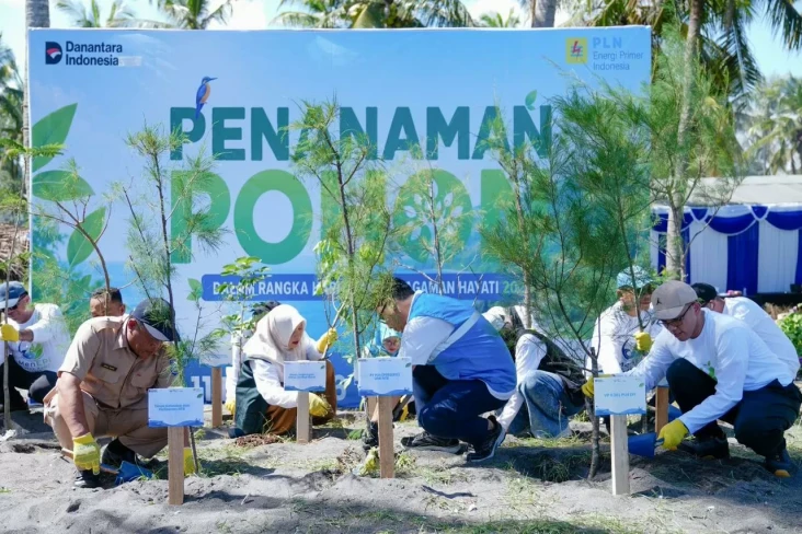 PLN EPI Tanam 2.500...