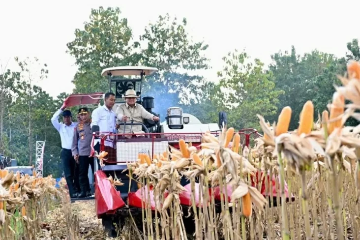 Momen Prabowo Panen...