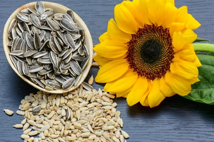 Disebut Superfood, Ini...