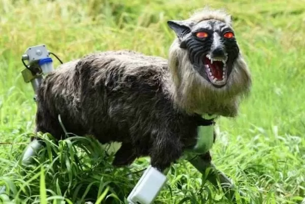 Jepang Menggunakan Monster...
