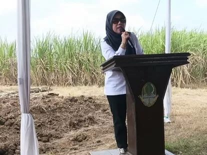 Sistem Berjenjang Jadi...
