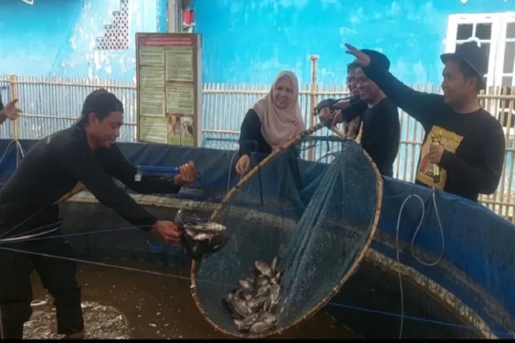 Pembudidaya Ikan Bioflok...