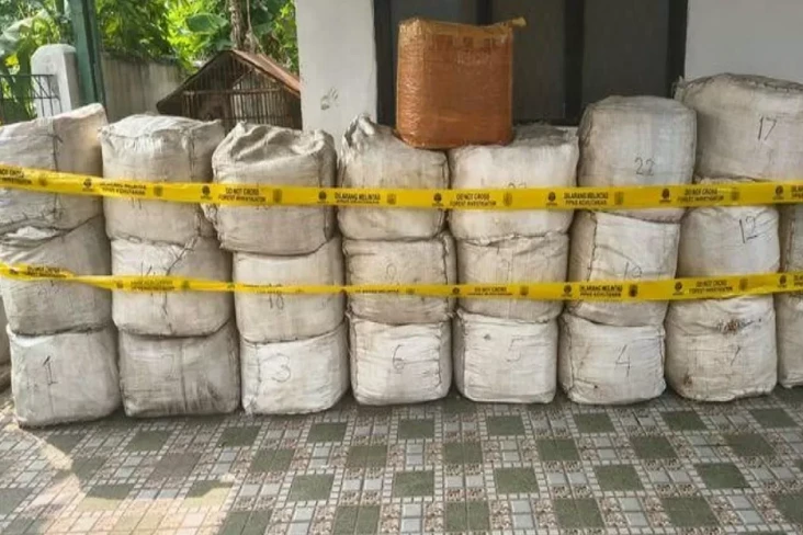 Kasus Penyelundupan...