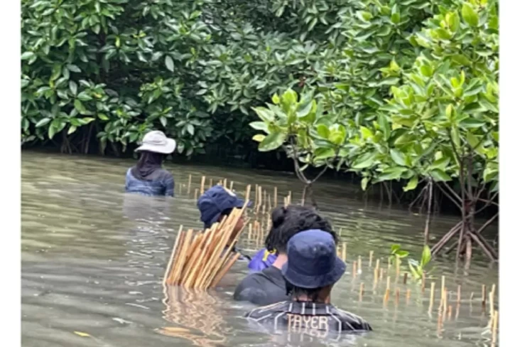Yayasan Bangun Ekosistem...
