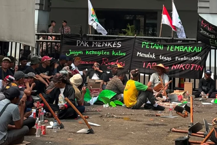 Ratusan Petani Tembakau...