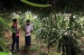 Terang Bohlam dari PLN...