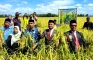 Bone Mulai Panen Program...