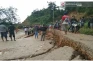 Jalur Trans Sulawesi...