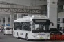 Damri dan PPD Bakal...
