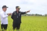 Gara-gara Air, Pengembangan...