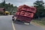 Viral Sopir Truk Ugal-ugalan...