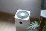 Air Purifier vs Tanaman...