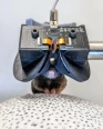 Headset VR untuk Tikus...