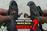 Kisah Burung Ababil...