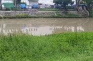 2 Jambret Apes di Surabaya,...