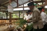 Entaskan Kemiskinan,...