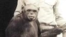 Ilmuwan Diam-diam Ciptakan...