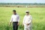 Indikator Politik Indonesia...