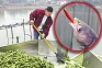 Viral! Ikan di Hunan...