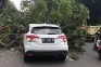 Angin Kencang Tumbangkan...
