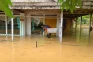 Imbas Banjir Grobogan,...