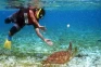 Gili Trawangan Jadi...