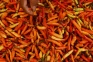 Harga Cabai Rawit Merah...