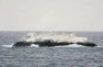 Pulau Misterius Ditemukan...
