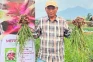 Kisah Tono Suwarna,...