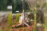 Viral Foto Tentara Israel...