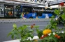 Transjakarta Buka Loker...