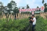 Hadapi Musim Kemarau,...