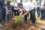 Penanaman 1.000 Pohon...