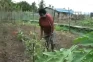 Tokoh Perempuan Adat...