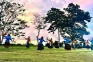 Tari Tradisional hingga...