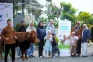Wujud Syukur 1 Dekade...
