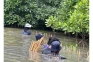 Yayasan Bangun Ekosistem...
