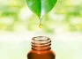 Industri Herbal Andalkan...