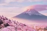 Jepang Naikkan Biaya...
