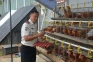 Bangun Ketahanan Pangan,...