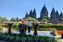 Kunjungi Candi Prambanan,...