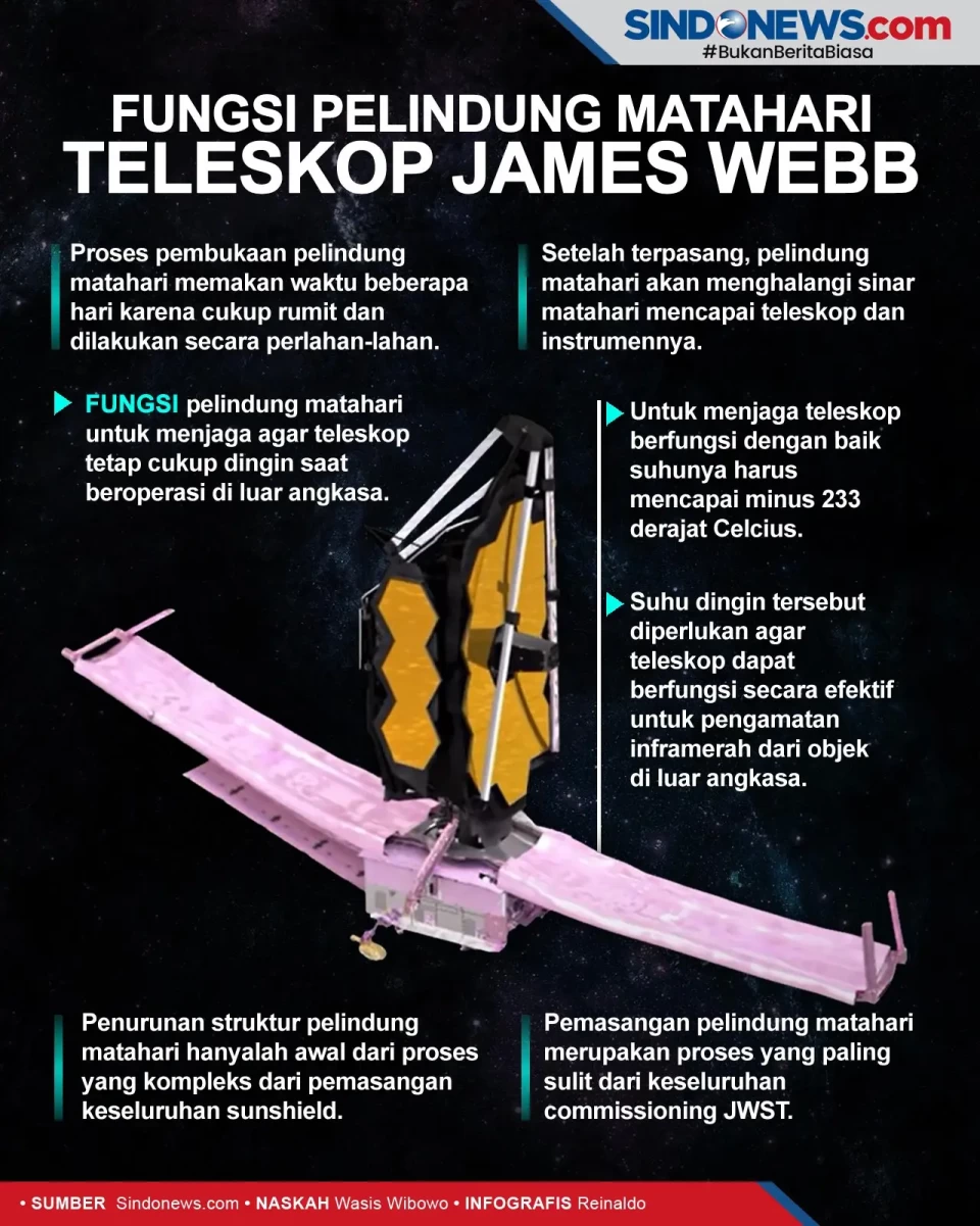 Fungsi Pelindung Matahari...