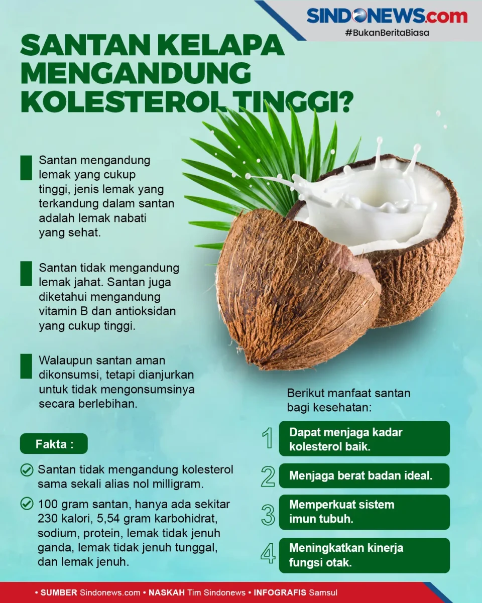 Apakah Santan Kelapa...