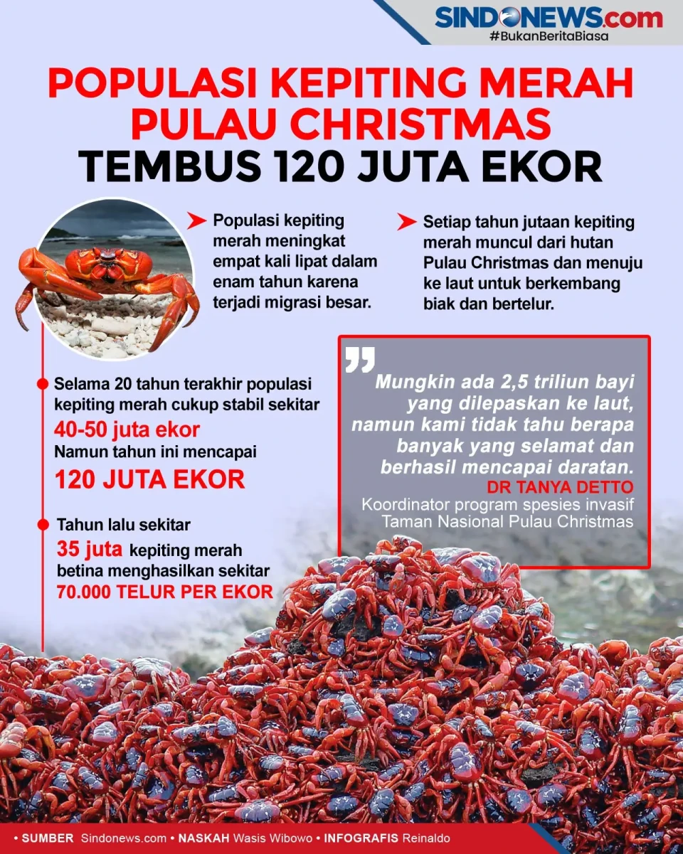 Populasi Kepiting Merah...