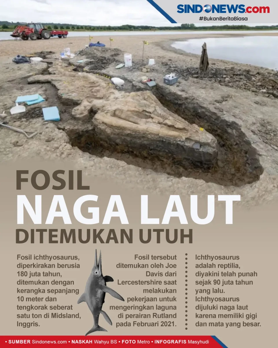 Fosil Naga Laut Ditemukan...